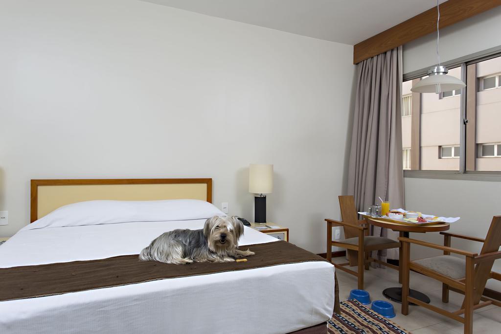 Stream Palace Hotel (Adults Only) Ribeirão Preto Dış mekan fotoğraf